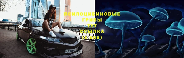 дмт Михайловск