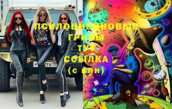 мдпв Михайловка