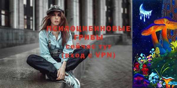 дмт Михайловск