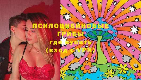 а пвп мука Медвежьегорск