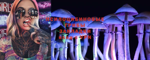 мдпв Михайловка