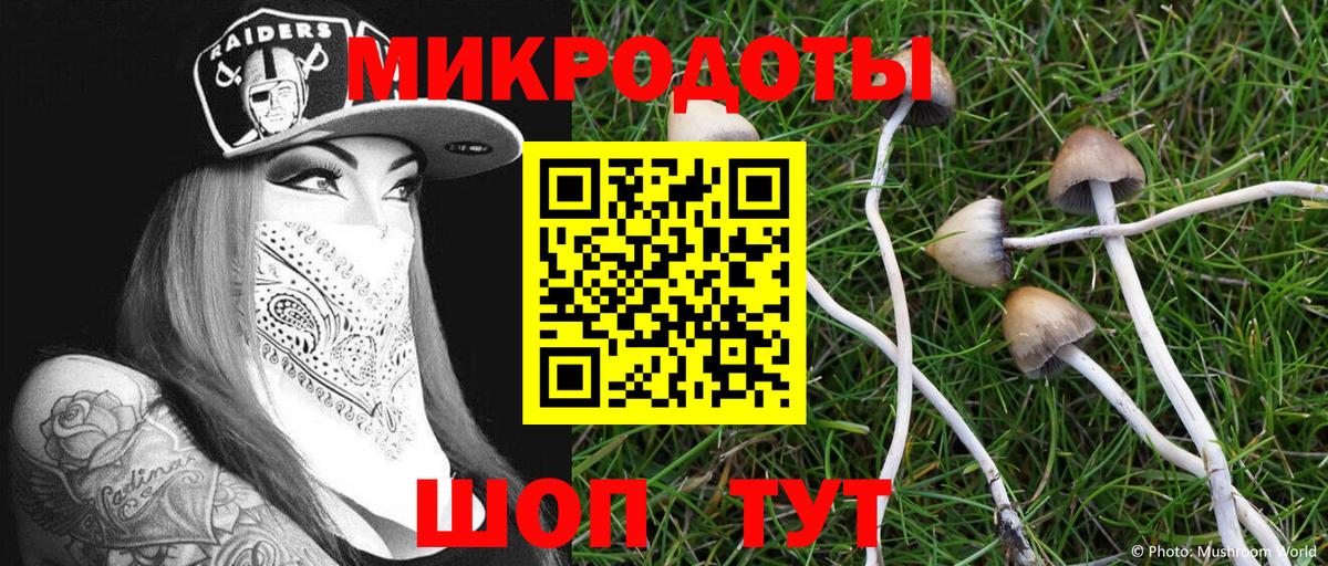 Галлюциногенные грибы Cubensis Кольчугино