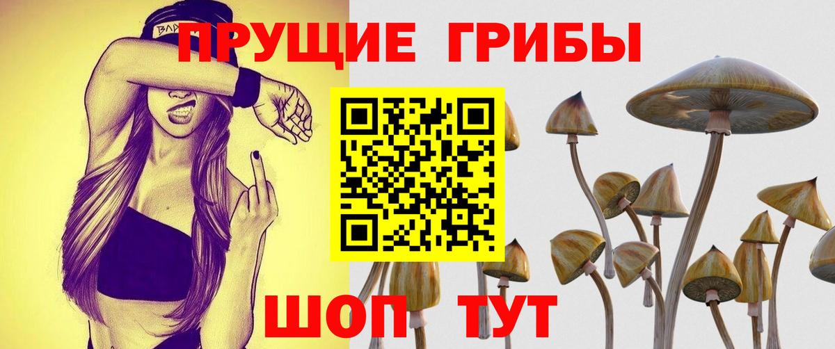 Псилоцибиновые грибы Psilocybe  Вход с VPN  купить  цена  Кольчугино 