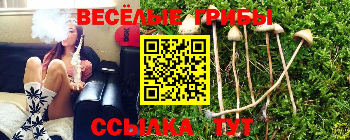 Галлюциногенные грибы ЛСД  Кольчугино  Галлюциногенные грибы GOLDEN TEACHER 